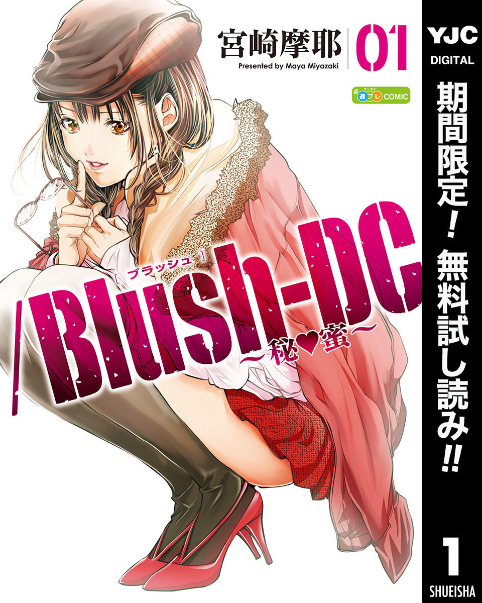 Blush Dc 秘 蜜 ネタバレ 絵がかわいいのでエ ロがすごい伝わってきます